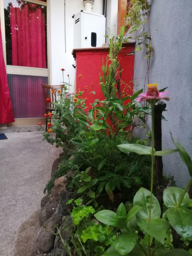 B&B Daddanca Ales Exterior foto